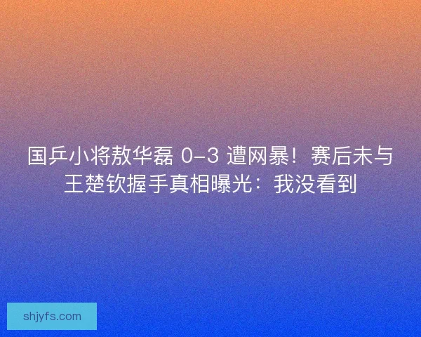 国乒小将敖华磊 0-3 遭网暴！赛后未与王楚钦握手真相曝光：我没看到